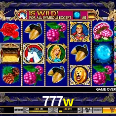 Descubra a Essência do 777w: Nossa História e Compromissos